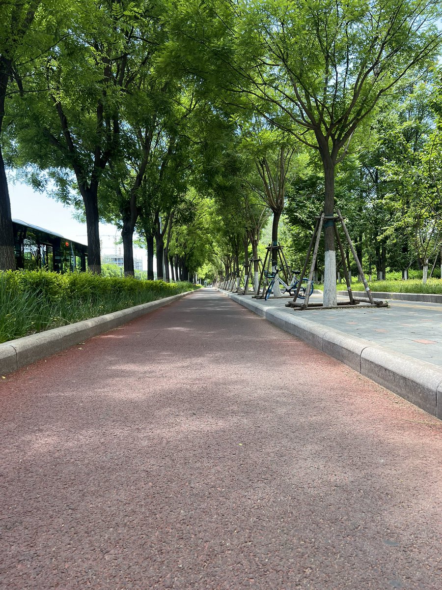 lijiezhang10's tweet image. summer time