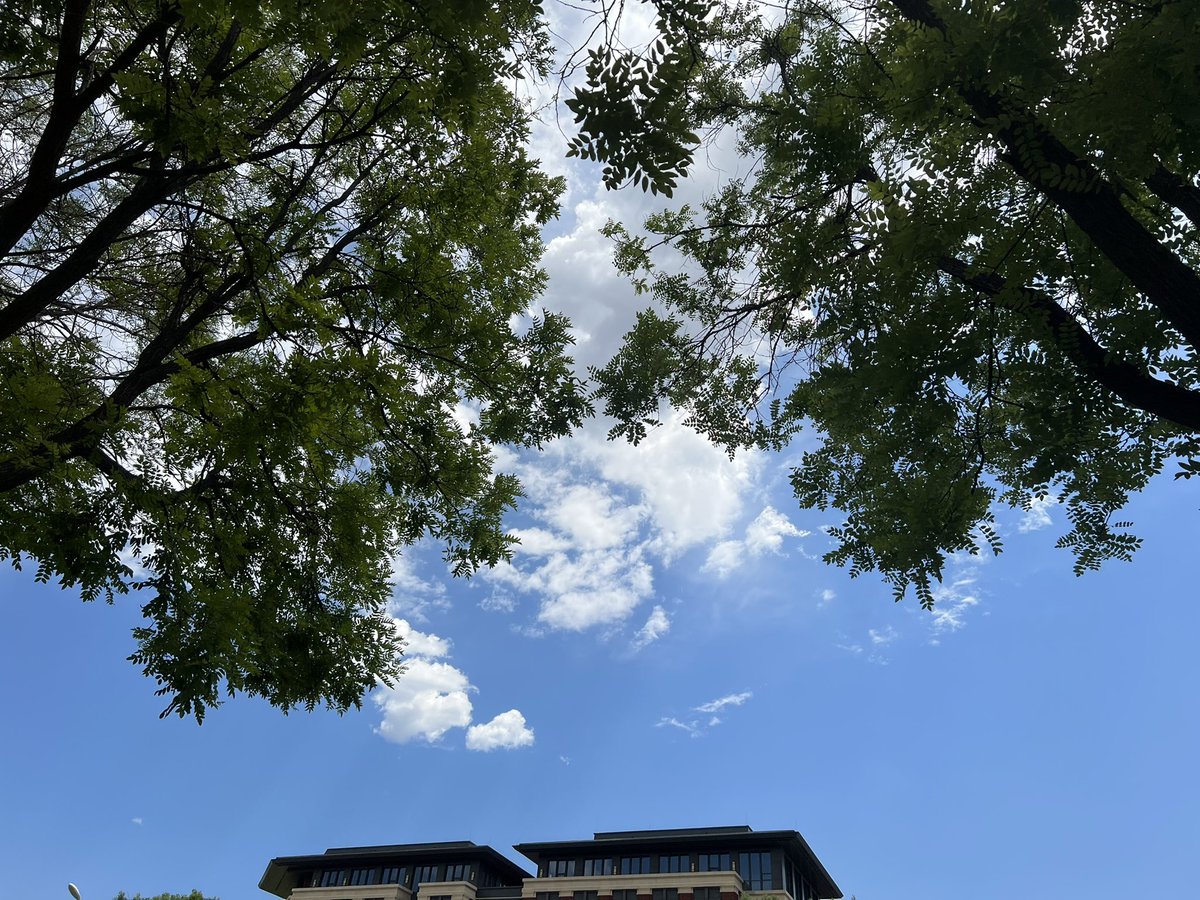 lijiezhang10's tweet image. summer time