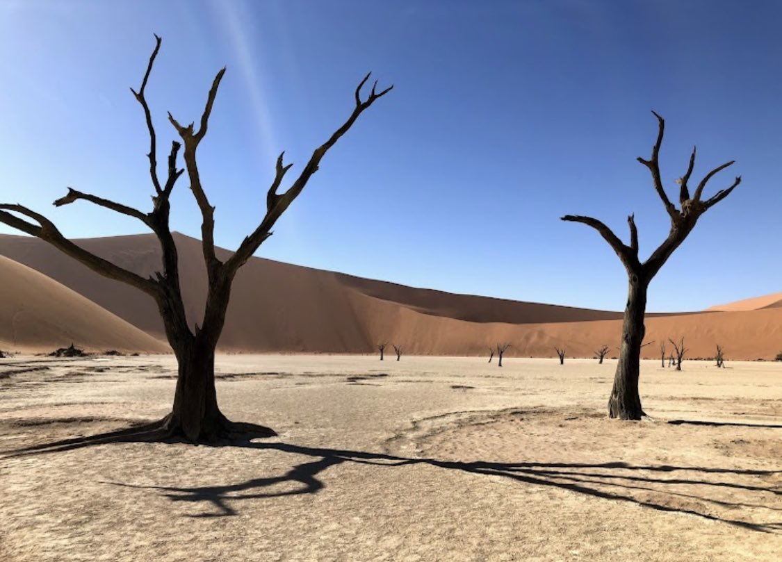 ثريد أغرب الأماكن السياحية في العالم🗺

في السلسلة نستعرض الاماكن العجيبة بالاحداثيات .. في مختلف بقا...