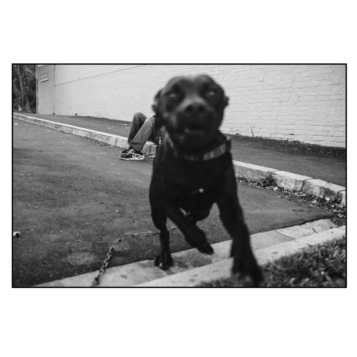 Ian Skene tweet media