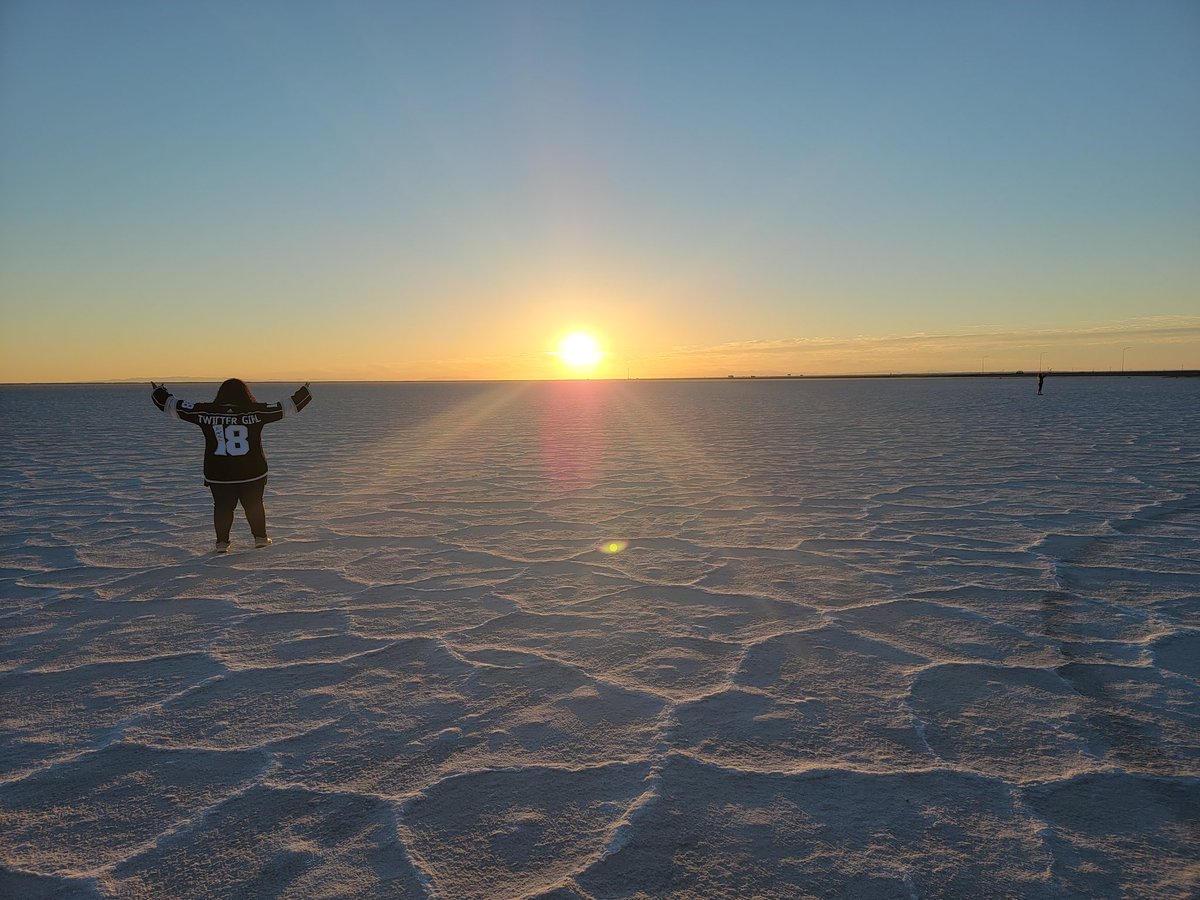 That was one hell of a hard-fought series, but our season is over. Yeah, I'm kind of disappointed, but I am SO DAMN PROUD of my team!  We've had a taste of the playoffs and we know what we are capable of now. Let's freaking DO IT next season!

#LAKings #GoKingsGo #GKG