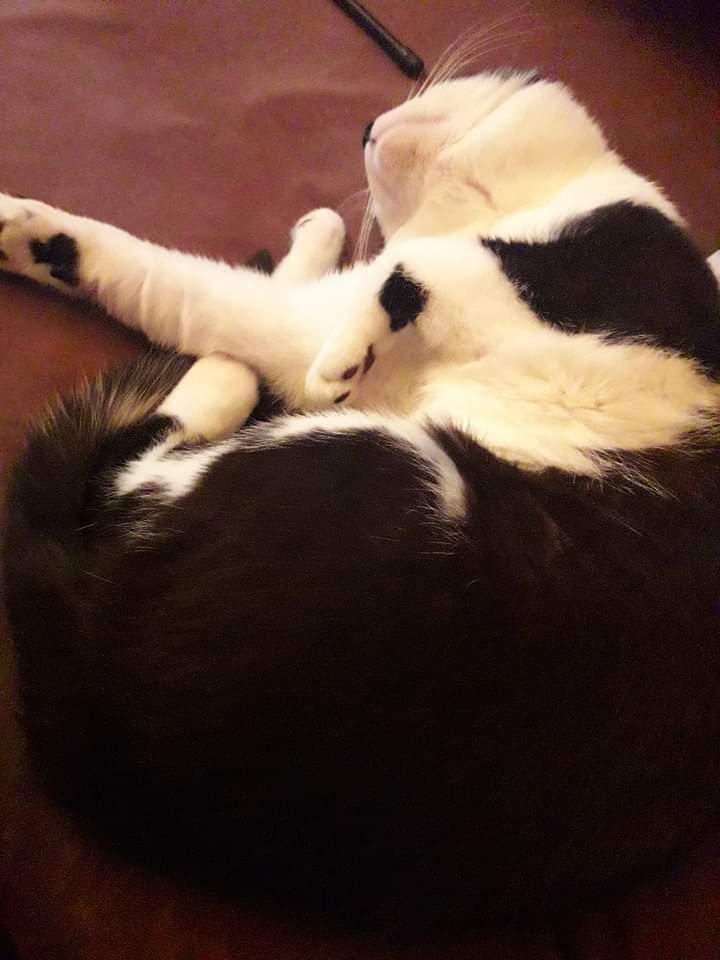 Tag 12 im Krankenhaus und ich vermisse dich so sehr 😻💞😍