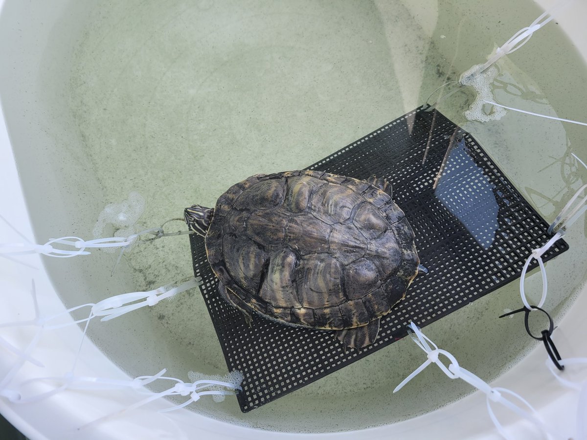 청소해야될때가 와부러쓰..