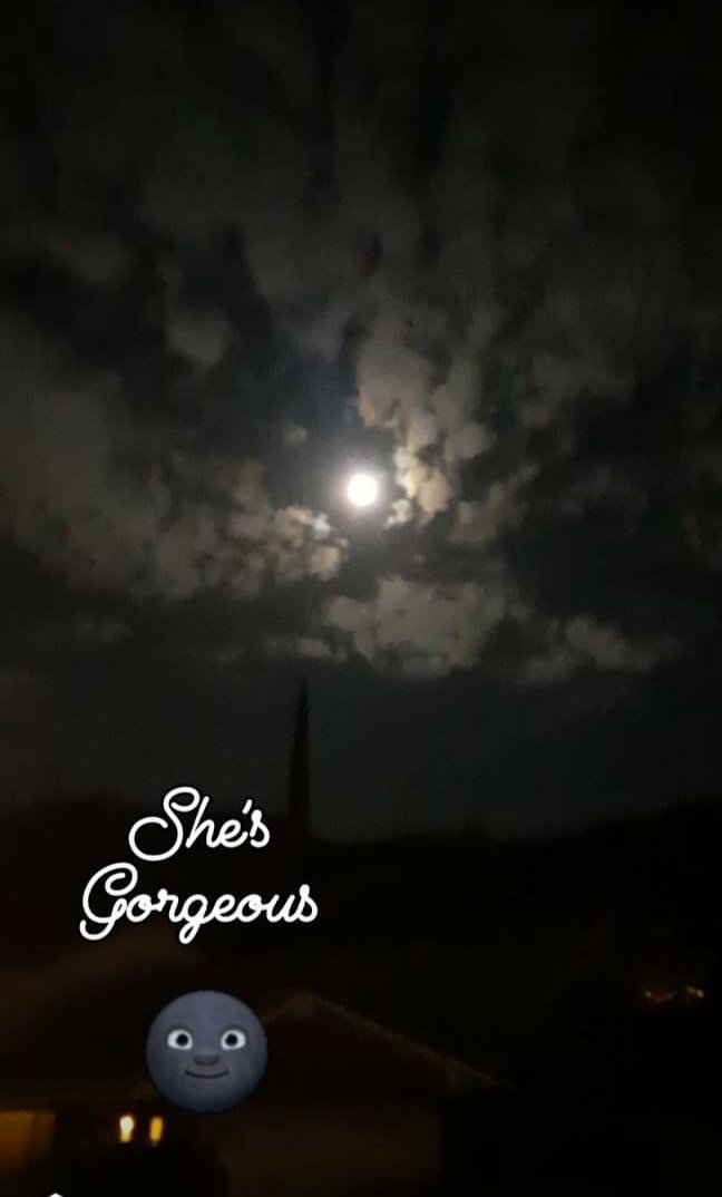 Goodnight everyone
         🌹🌚🌹