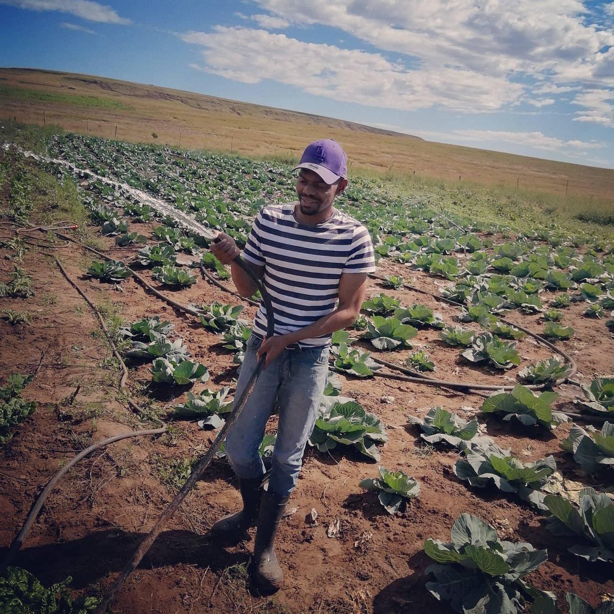 kwanda_nyazeka's tweet photo. I was selling my spinach outside Spar when the owner of Spar came &amp; said I should supply her with300bunches the next morning. Watch my story https://t.co/lTU3eTaRw3
#farming #DJSBU Keke Adv Teffo Londie Percy Tau Thando UKZN Xenophobic Queen B Dlamini Lilanga Pitso #IsMacGWrong https://t.co/nmTFcdgRT8