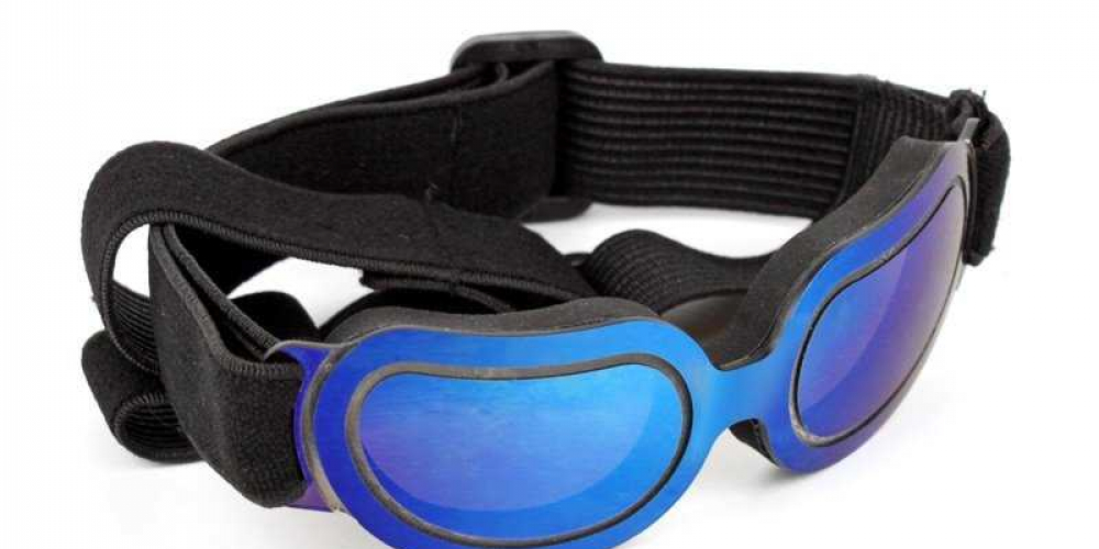 DoggiePimp's tweet photo. Dogs Colorful Waterproof Sunglasses
https://t.co/bFvPgNckJN
#dogeyeprotection #dogsunglasses #dogsunnies #waterproof
#chihuahua #like4like https://t.co/TGQexTzUXo