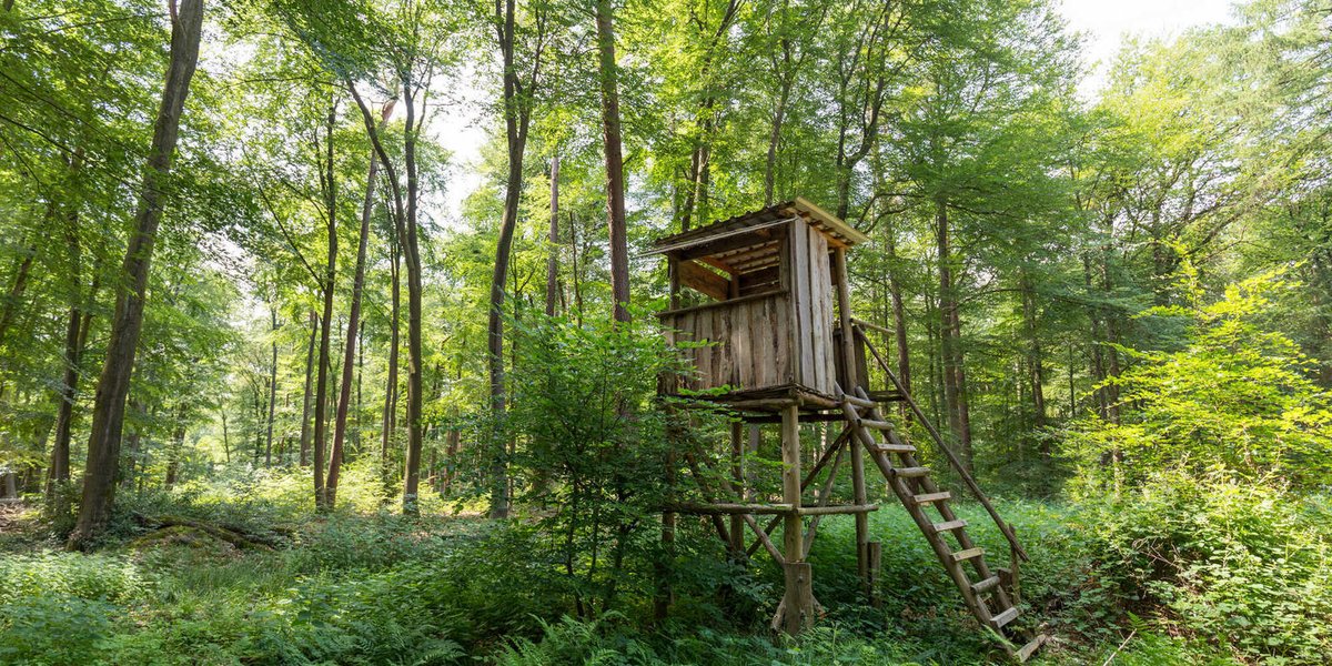 HUNTER SEVERELY INJURES HIMSELF ATTEMPTING TO REPAIR A PREVIOUSKLY SABOTAGED HUNTING TOWER.

read about it: 

unoffensiveanimal.is/2022/05/08/hun…