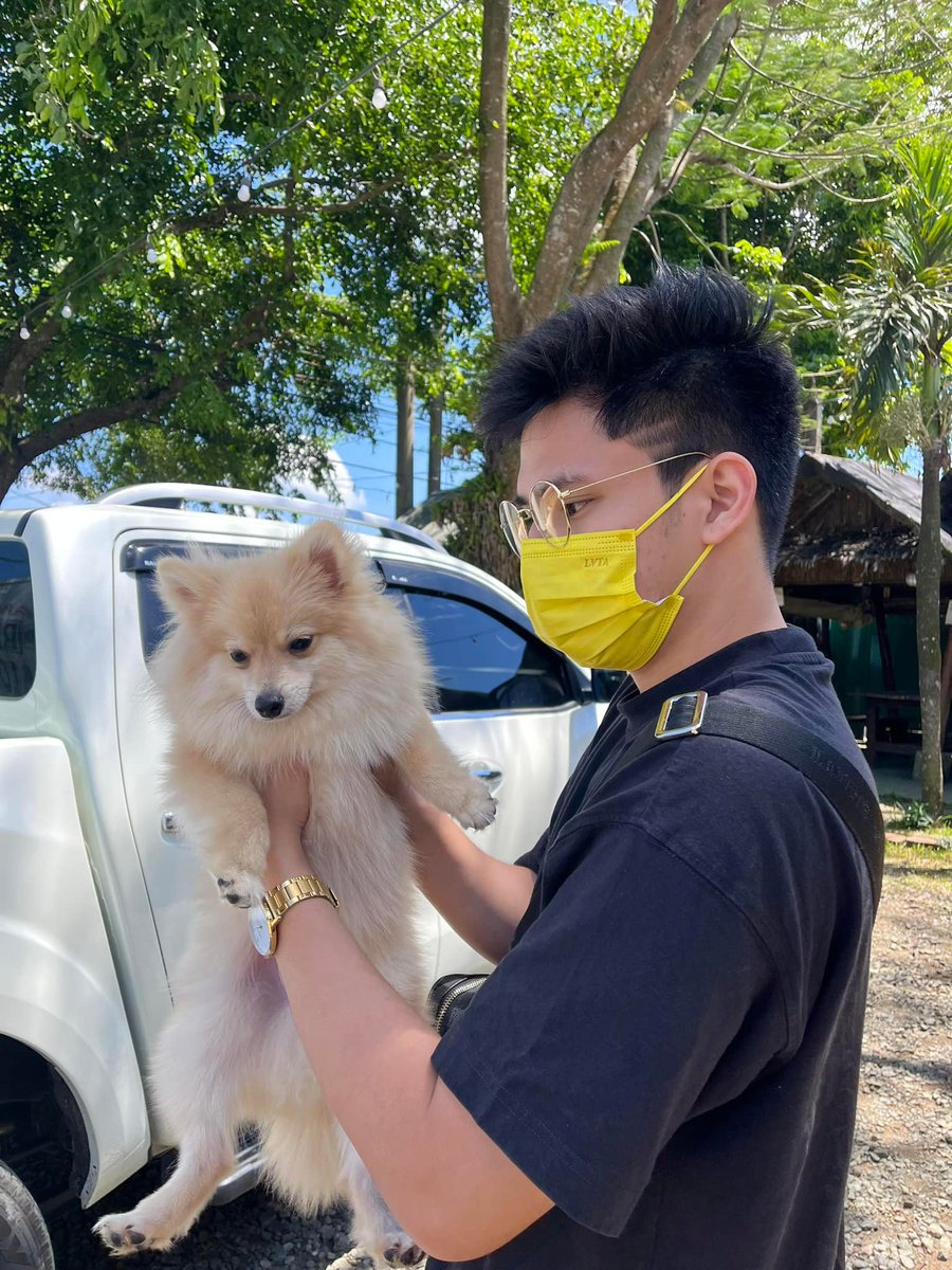 🐶🐶
