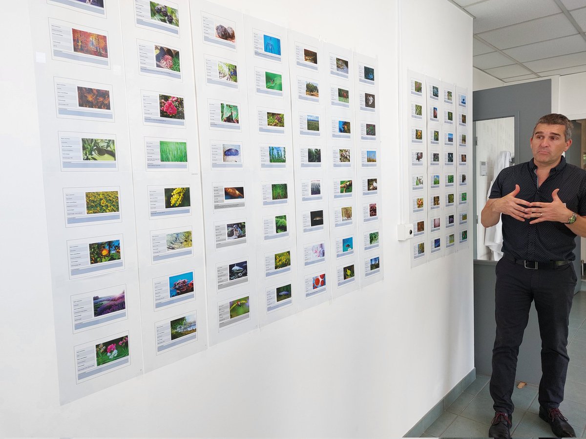 INRAE_Clermont's tweet photo. 🧬🧬Cet après-midi plongez au coeur de l'ADN ! Venez découvrir "le mur des espèces" sur lesquelles travaillent la plate-forme @gentyane et plein d'autres choses encore sur les cér��ales, les arbres ou les prairies. 🌳🌿🌾
👉https://t.co/d6ktNU3K2B https://t.co/Vm7F3PzNcC https://t.co/VCedjju2PZ