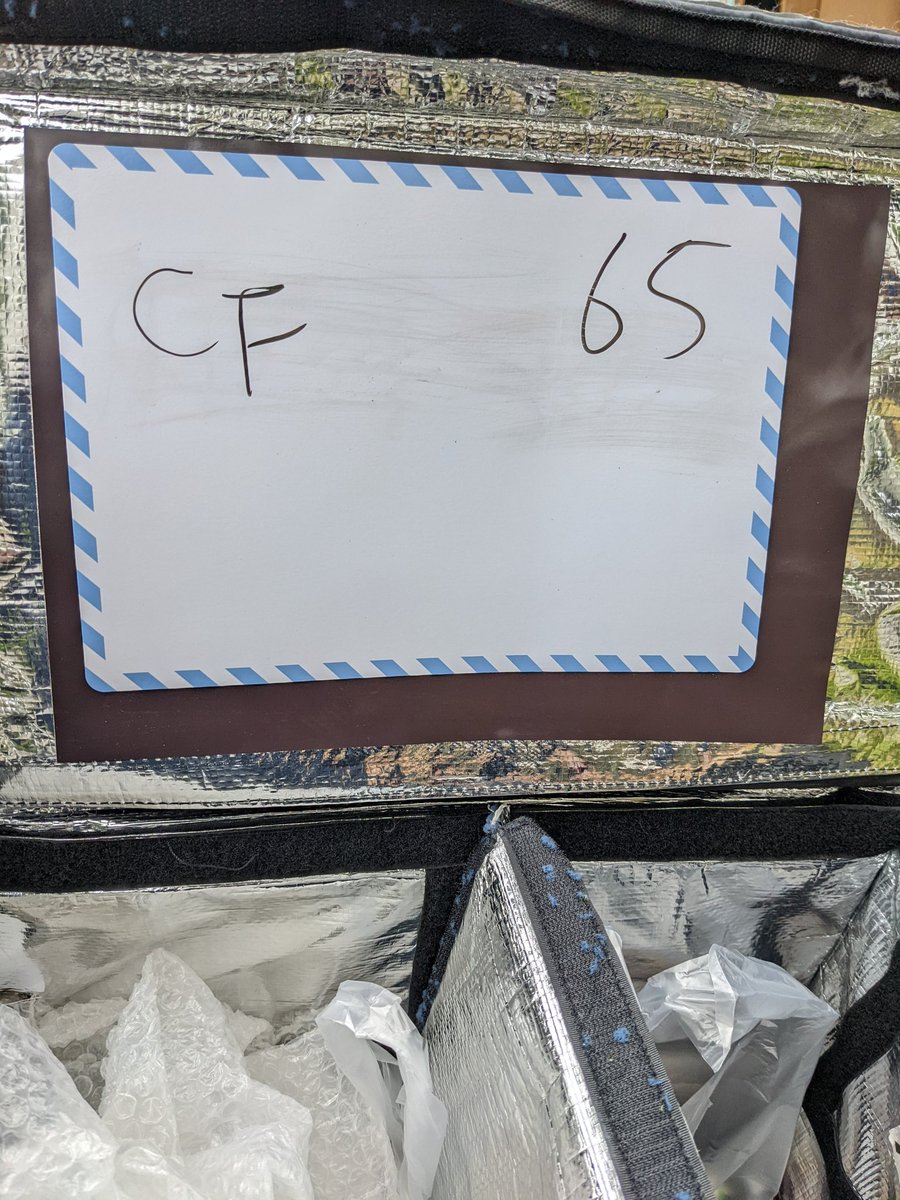 YH@副業勢50cc tweet media