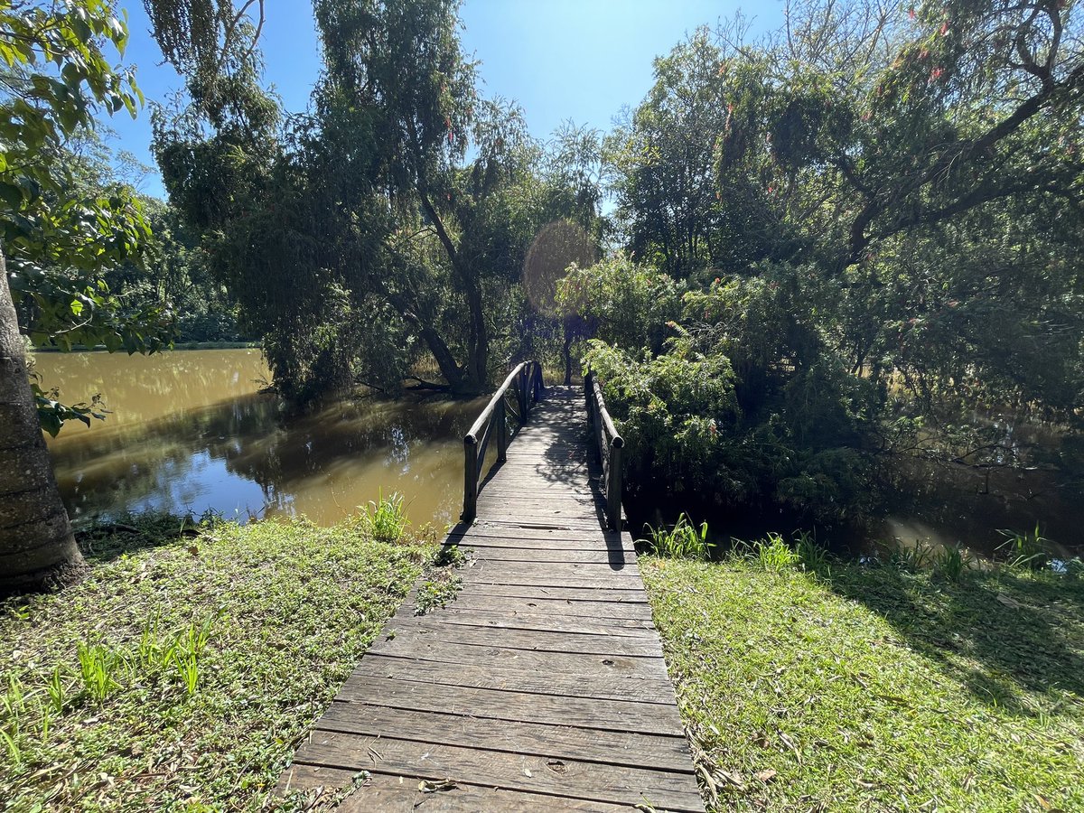 GregTheMarketer's tweet photo. The Zimbabwe’s best-kept secrets: The Gardens at @LaRochelleHouse #shotoniphone https://t.co/mbhVR5E1p8