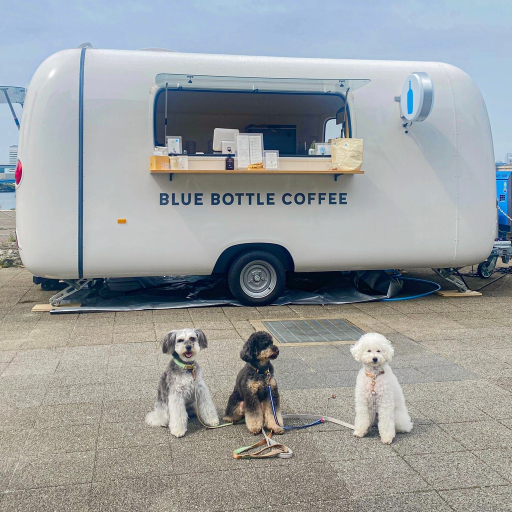 bluebottlejapan's tweet photo. 仿¥ã®ãããð¶ãã·ã¥ããïŒãã¯ãªã¹ãïŒãããã³ãâš
ã¯ã³ã¡ãããšãæ£æ©ã®éã¯ããã²ãç«ã¡å¯ããã ããïŒ
#DogsOfBlueBottle https://t.co/miyNw6Wxd9