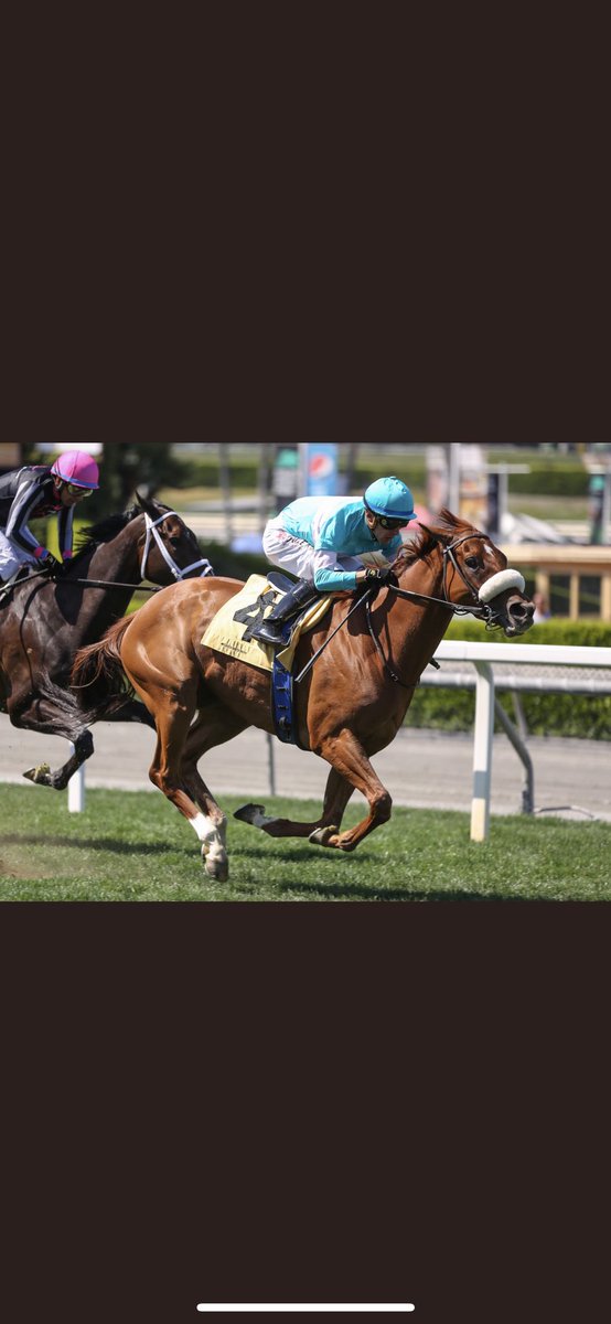 Un petit coucou aux méchants aux naïfs aux fabulateurs qu’allez-vous dire après les victoires de ROUGiR et NEIGE BLANCHE dans des Groupes III