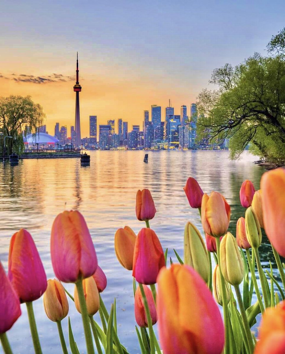 ztCanada's tweet photo. π¨π¦ In preparation for July's Return of EE Draws, here are ways to improve your CRS Score! https://t.co/wBVbygTTsx
#expressentry #expressentrycanada #expressentryimmigration #canada #canadaimmigration #canadaexpressentry #expressentrypnp #pnp #province #provincialnominee https://t.co/wIb585eiBk