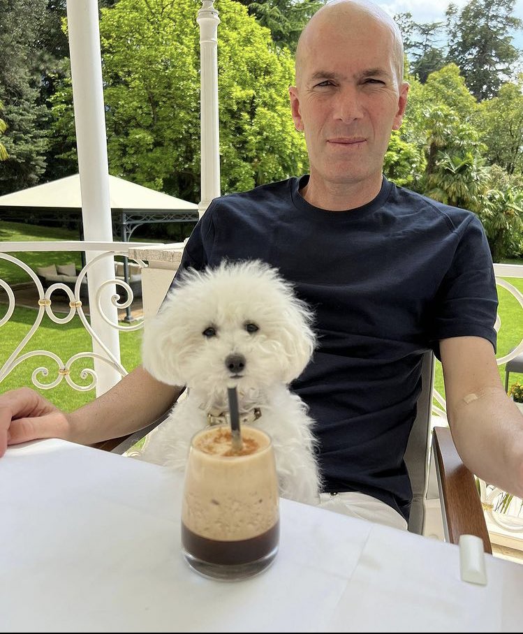 _BeFootball's tweet photo. Zinedine Zidane sur Instagram 🐶 https://t.co/1TVMXFeINS