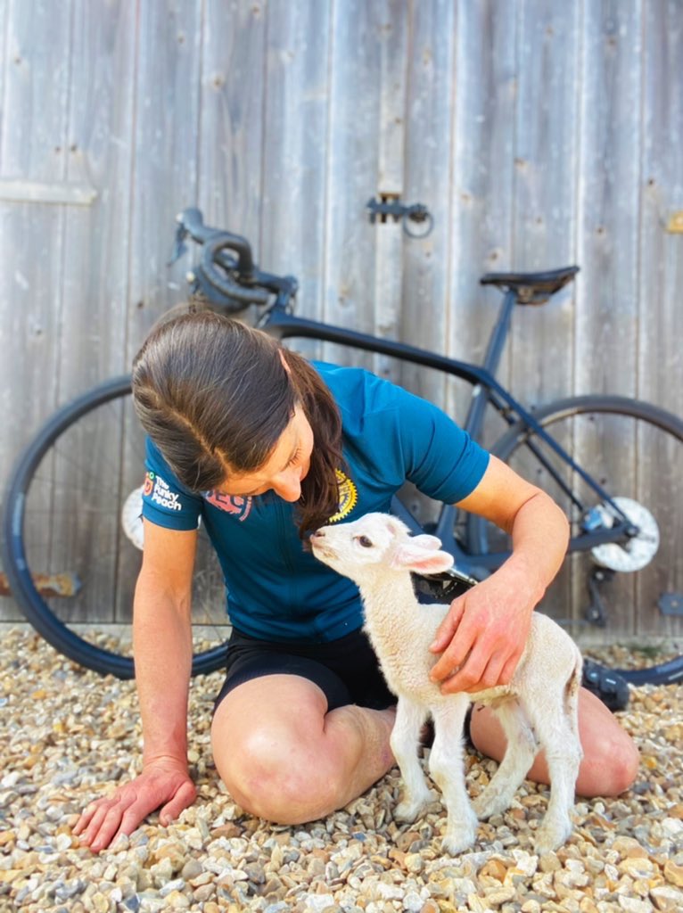 Training for @SBtoST2022 has been tough, and I’m not going to lie, I almost hit burnout during lambing, but made it through! (And Spider the micro lamb isn’t much bigger 🤦🏻‍♀️😂) #lambing #lambs #petlamb #charitycycle #farmfit #StandWithUkraine️ justgiving.com/fundraising/sa…