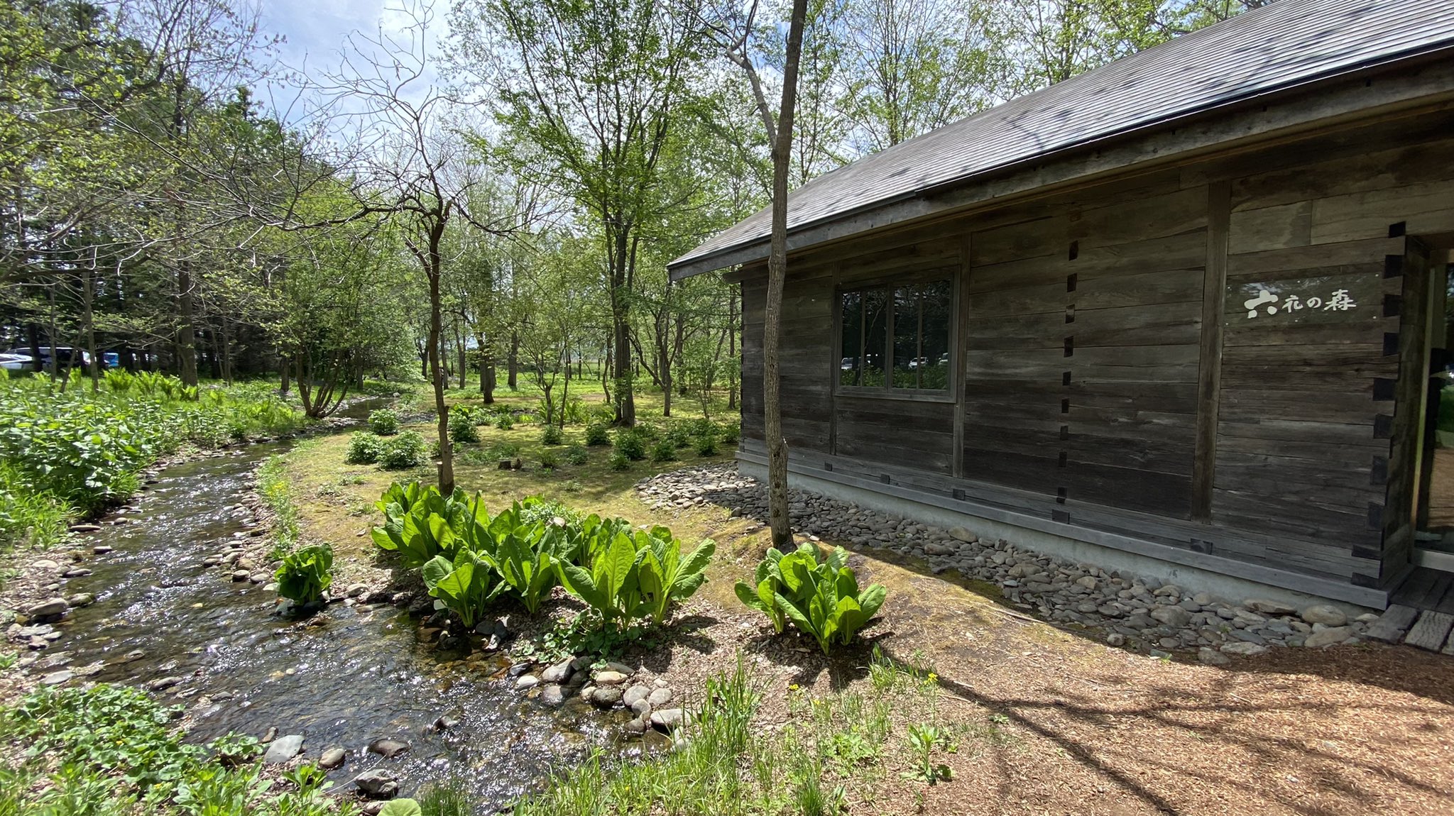 ポロシリ Twitter Search Twitter