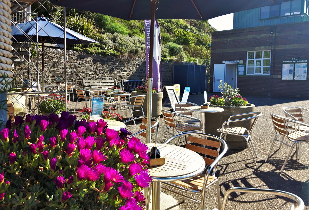 Another lovely day in Ilfracombe. We remain open every day, make the most of the nice weather and enjoy a drink in our Pier Café right by the harbour 🍰🧉☕