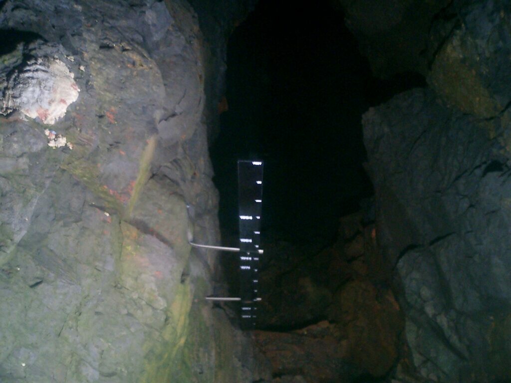 Peter T Young tweet media