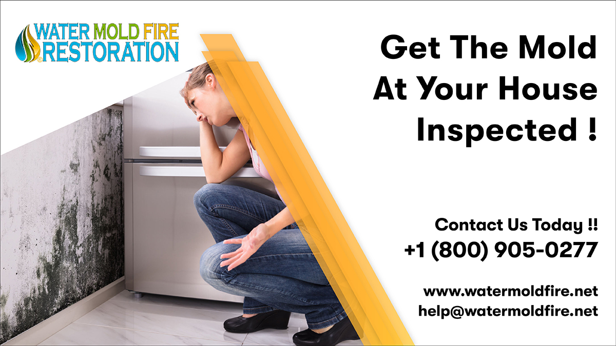 If you feel there is a problem of pipe breakage. Contact us to get your mold inspected. It will help you know the places where you should put the most attention ! Contact us today for any query
Call:- 800-905-0277
Mail:- help@watermoldfire.net
Visit:- pos.li/2l8l1i