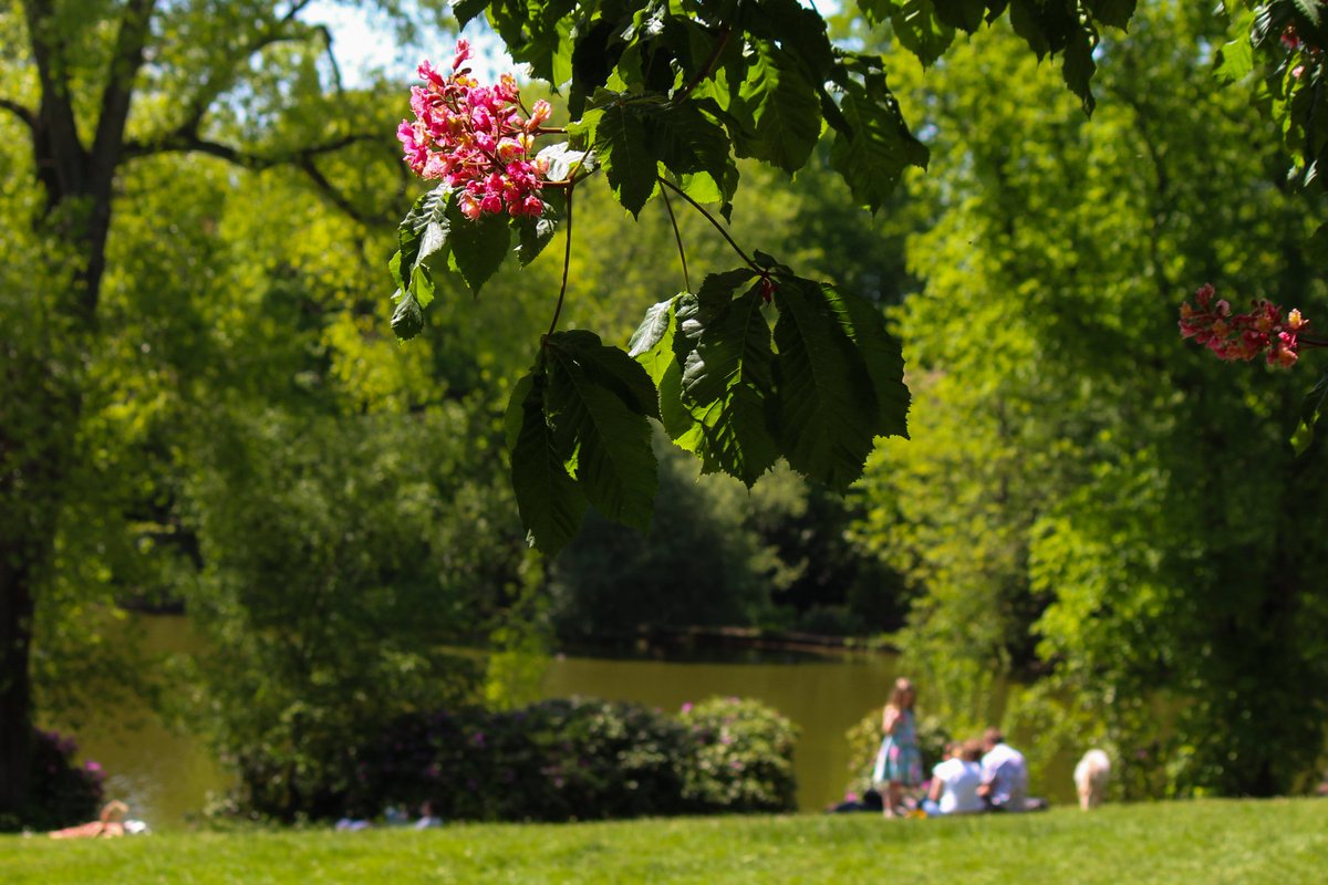 Moseley Park & Pool tweet media