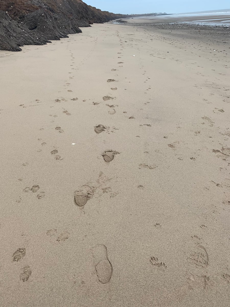 JoCairns86's tweet photo. Well done to everyone who took part in #RaceForLife π I literally canβt run to save my own life let alone anyone elseβs haha but I am saving lives as part of the #StepOutForYorkshire challenge by walking along the beautiful E Riding coast https://t.co/iL4LFXLnJS
