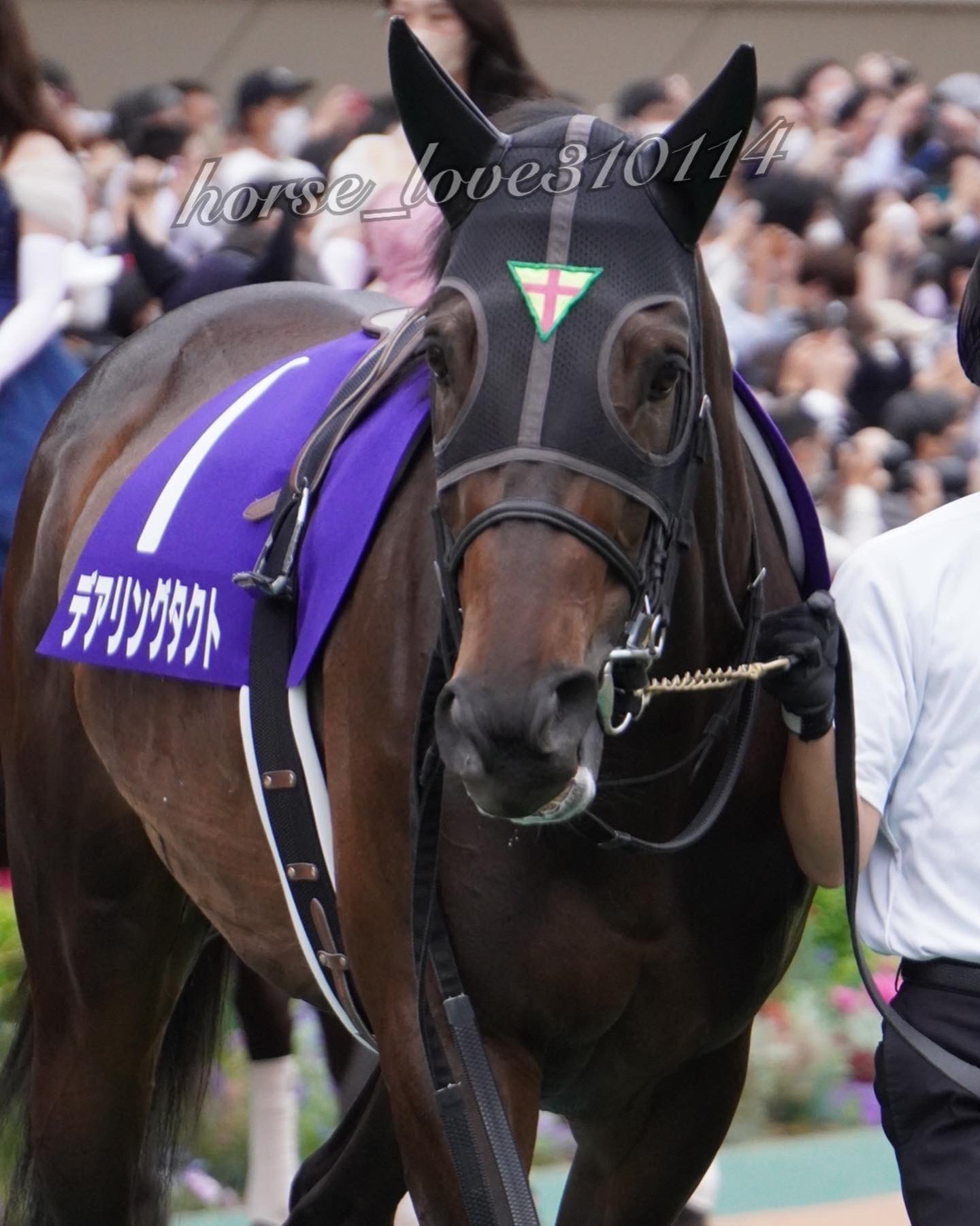 競馬 デアリングタクト 記念ブルゾン デアリングタクト・ブルゾン