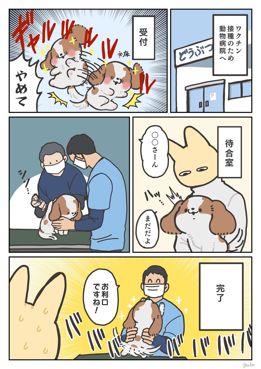 犬日記 どんなイベントより嬉しそう 