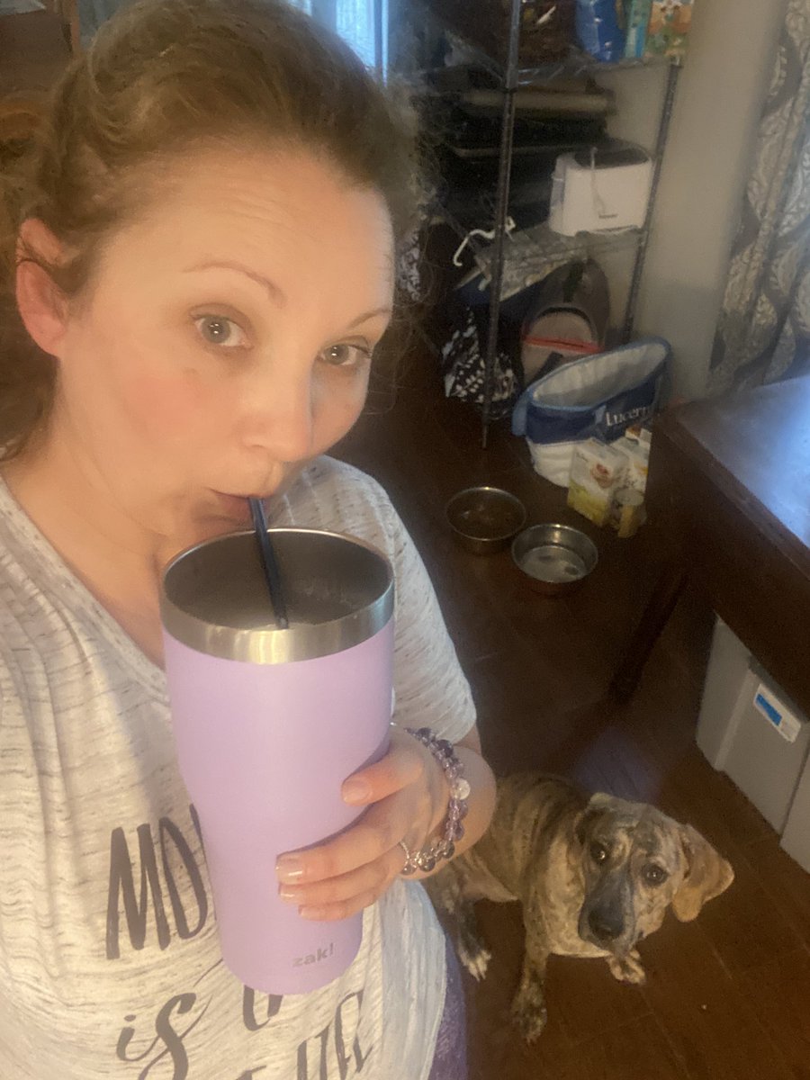 Dog sitting - 6:30am wake up on a weekend 🤯 Lucky she’s cute ☺️