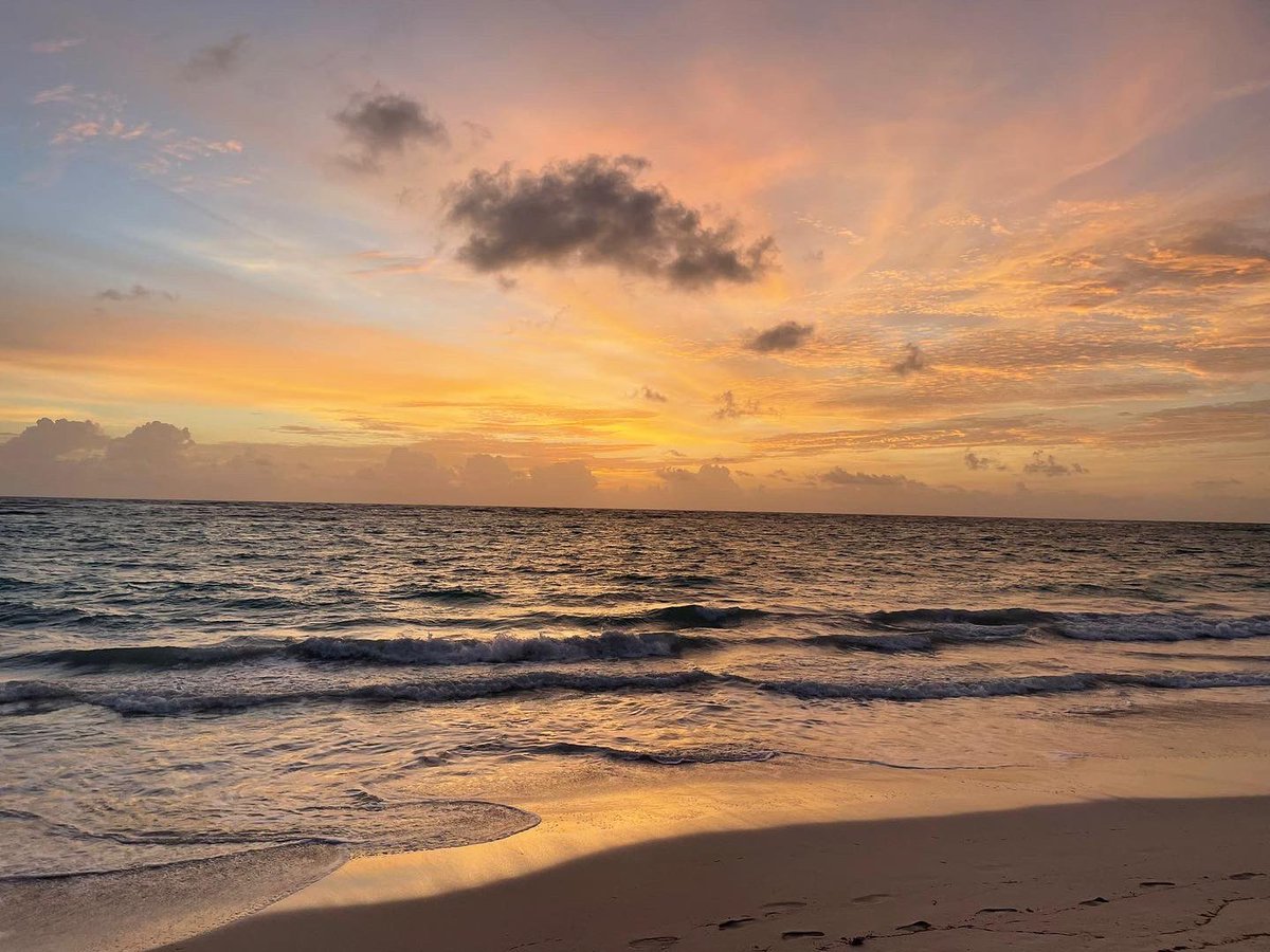pariswelsh7's tweet photo. Birthdays in the Caribbean 🌅🏝👌 https://t.co/C3iUT6X57B