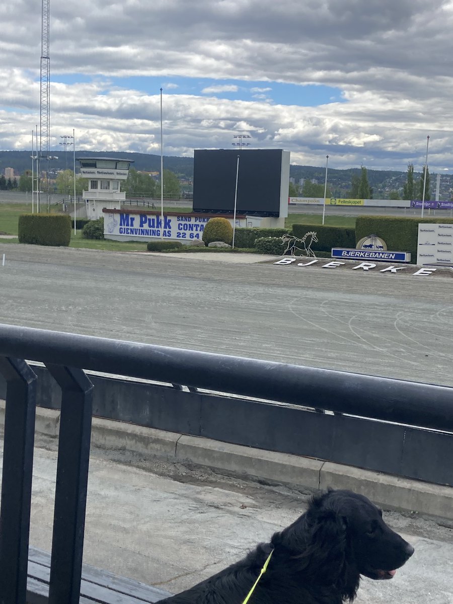 Deilig med litt trav fra København på storskjem