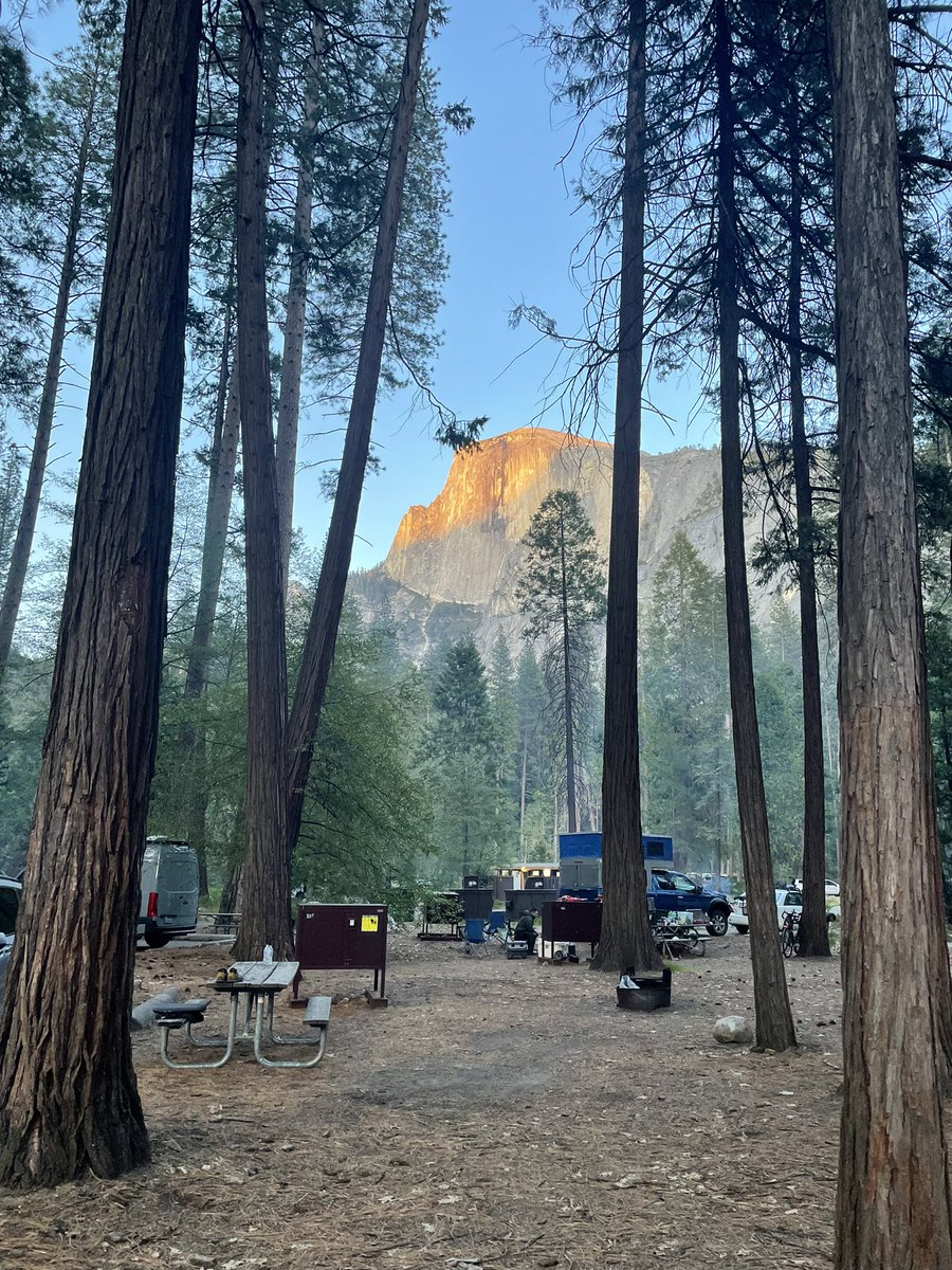 jwalshie's tweet photo. The sound of waterfalls and birdsong punctuated by car alarms, engines idling, doors opening and closing, honks, beeps and other noise pollution. https://t.co/1cuCPVlqCA