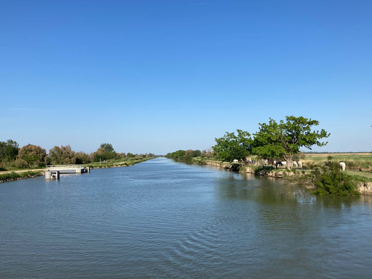 atomarpormundo's tweet photo. ¡Bueno días! Hoy nos despedimos ya de la Camarga😪 Pero aún nos quedan cositas que mostraros. ¡Síguenos en stories de Instagram y en #viajecamarga #danfluvial #francia https://t.co/okgaYTP7CF