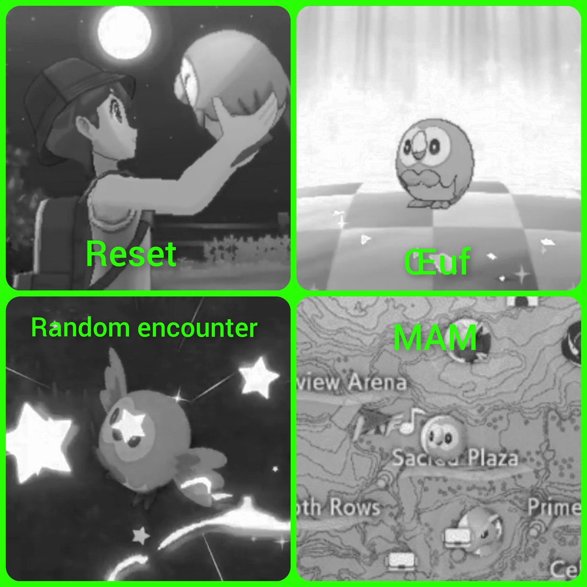 CSH | Mayos tweet media