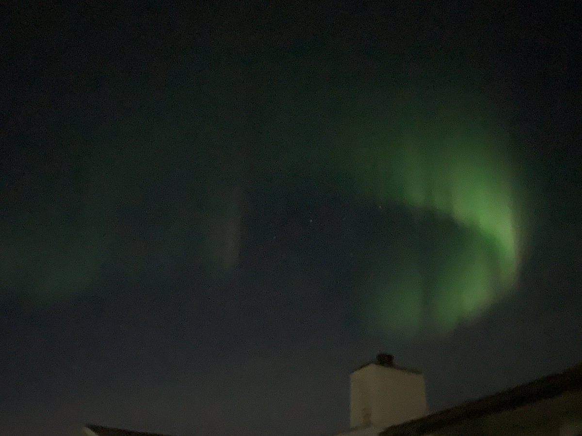 Melanie Walsh tweet media