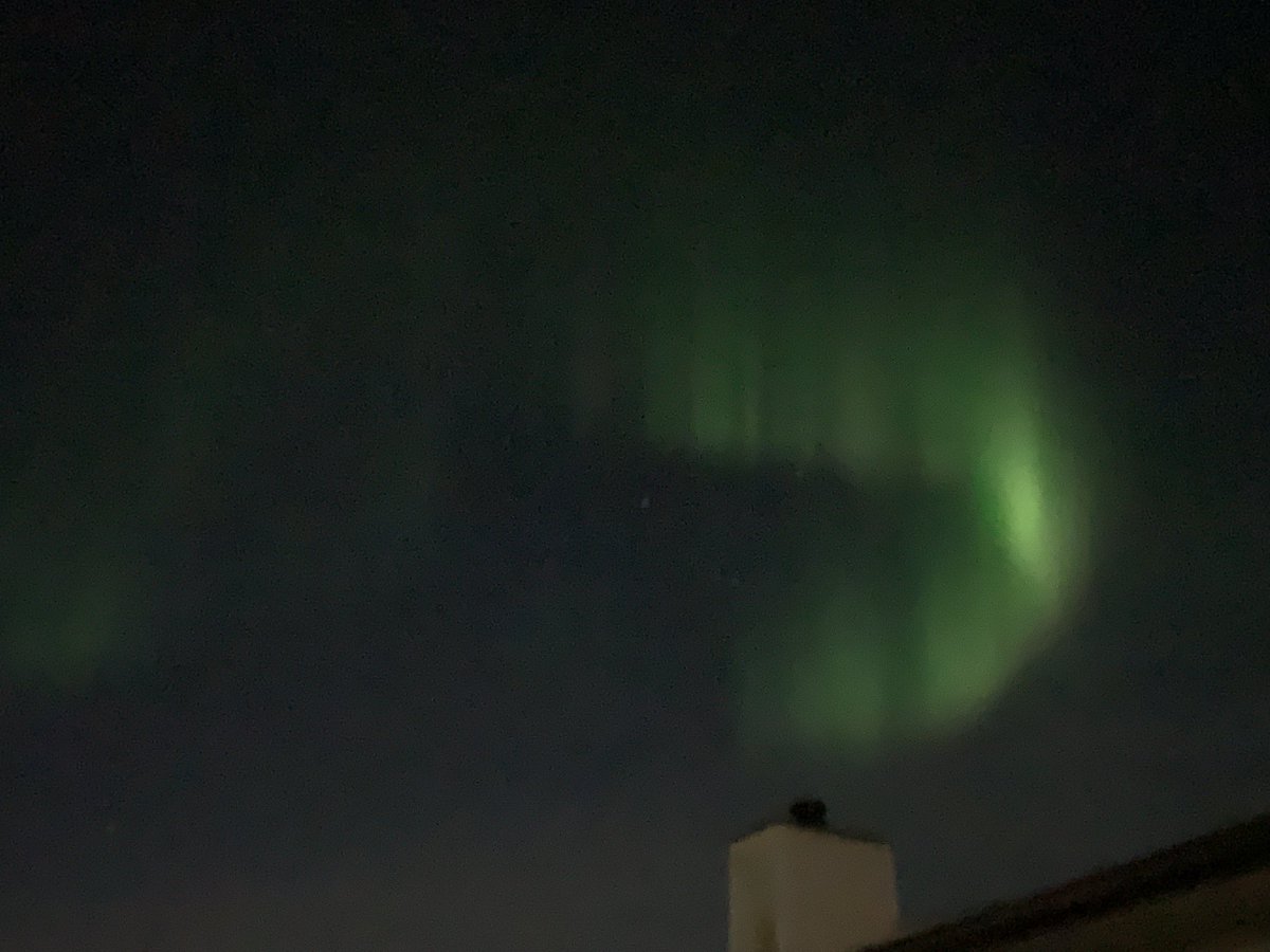 Melanie Walsh tweet media