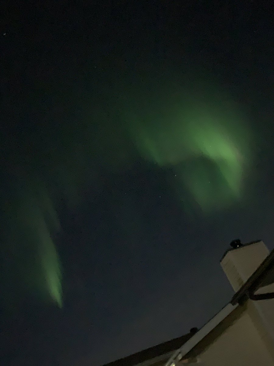 Melanie Walsh tweet media