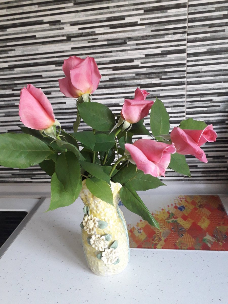 Rose Princessss od na majka mi dvorot. Preubavo nedelno utro.🙃
