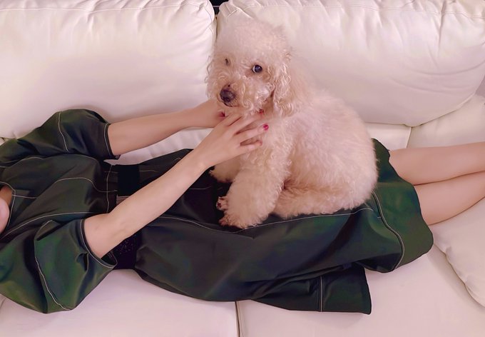 ひとんち来て、30秒でソファーに寝転がってるやつ｡｡｡ https://t.co/zwZsGGLGY7<a href="/tag/nintendoswitch"class="tags"><span>#nintendoswitch</span></a><a href="/tag/mk8d"class="tags"><span>#mk8d</span></a>