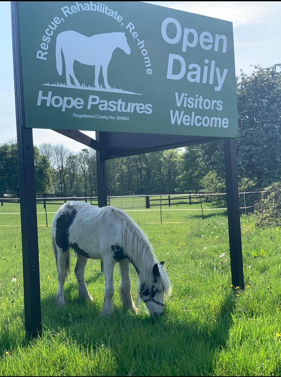We are open today 10am to 3pm come over for a walk around and a cuppa. Weetwood Lane, Leeds LS16 5PH 
#leeds #hopepastures #horsesanctuary #freeadmission