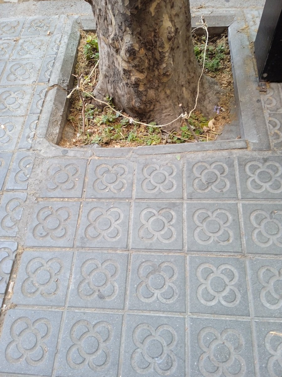 Dani_o_Daniel's tweet photo. #EscocellsVerds #SagradaFamília #Barcelona #naturalitzem #ecologia #mediambient #Escocells https://t.co/MCz3y57YGS