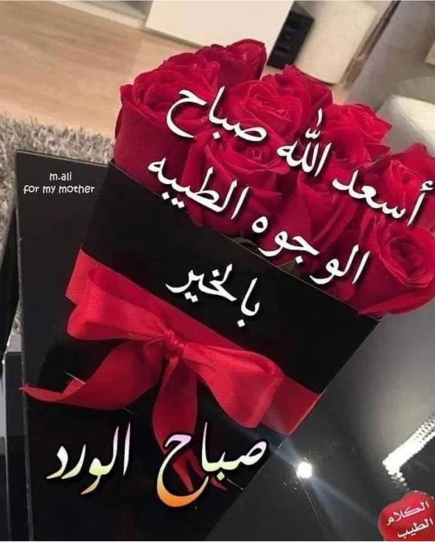 abofady02770468's tweet photo. @Mai15036655 https://t.co/Rnome4VZPF