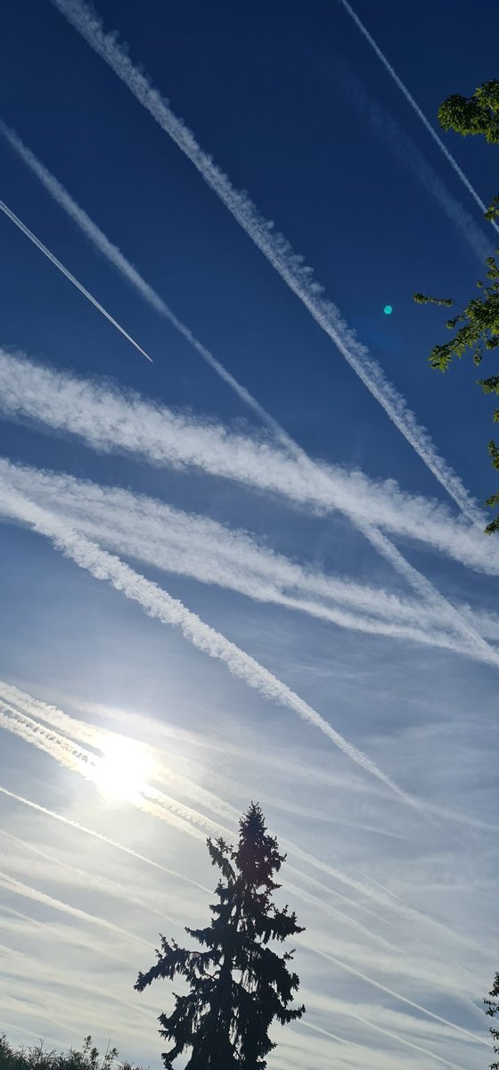fredouille76's tweet photo. @LaColitruche Idem 8h ciel bleu 9h résultat habituellement maximum 2 avions par heure en haute Normandie. https://t.co/Q2Qcveapow