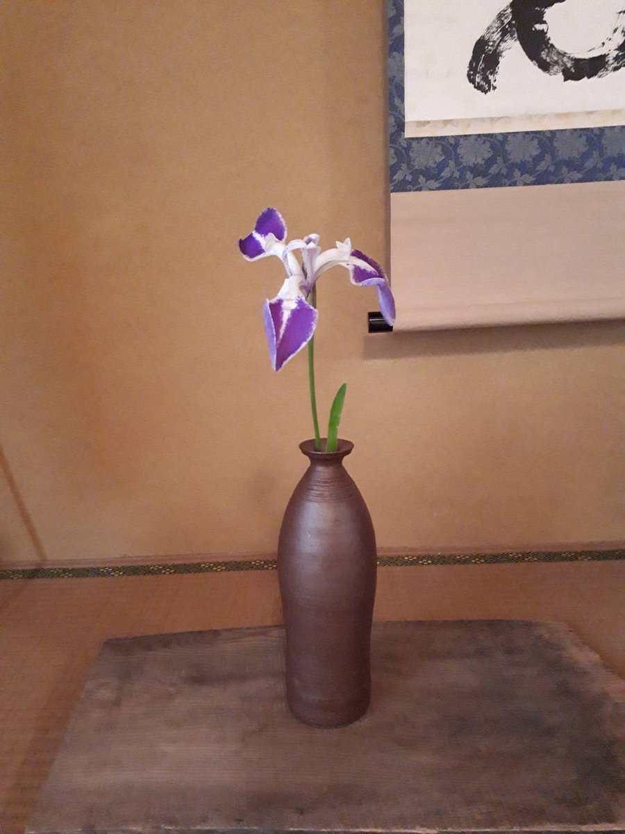 雲井の鶴というかきつばたを拝見しました。

杜若　われに発句の　思ひあり
芭蕉

本の仕上げに取り掛かっているところです。我にもいい文章が降りてきて欲しいものです。

#俳句　#かきつばた  #花写真  ＃芭蕉