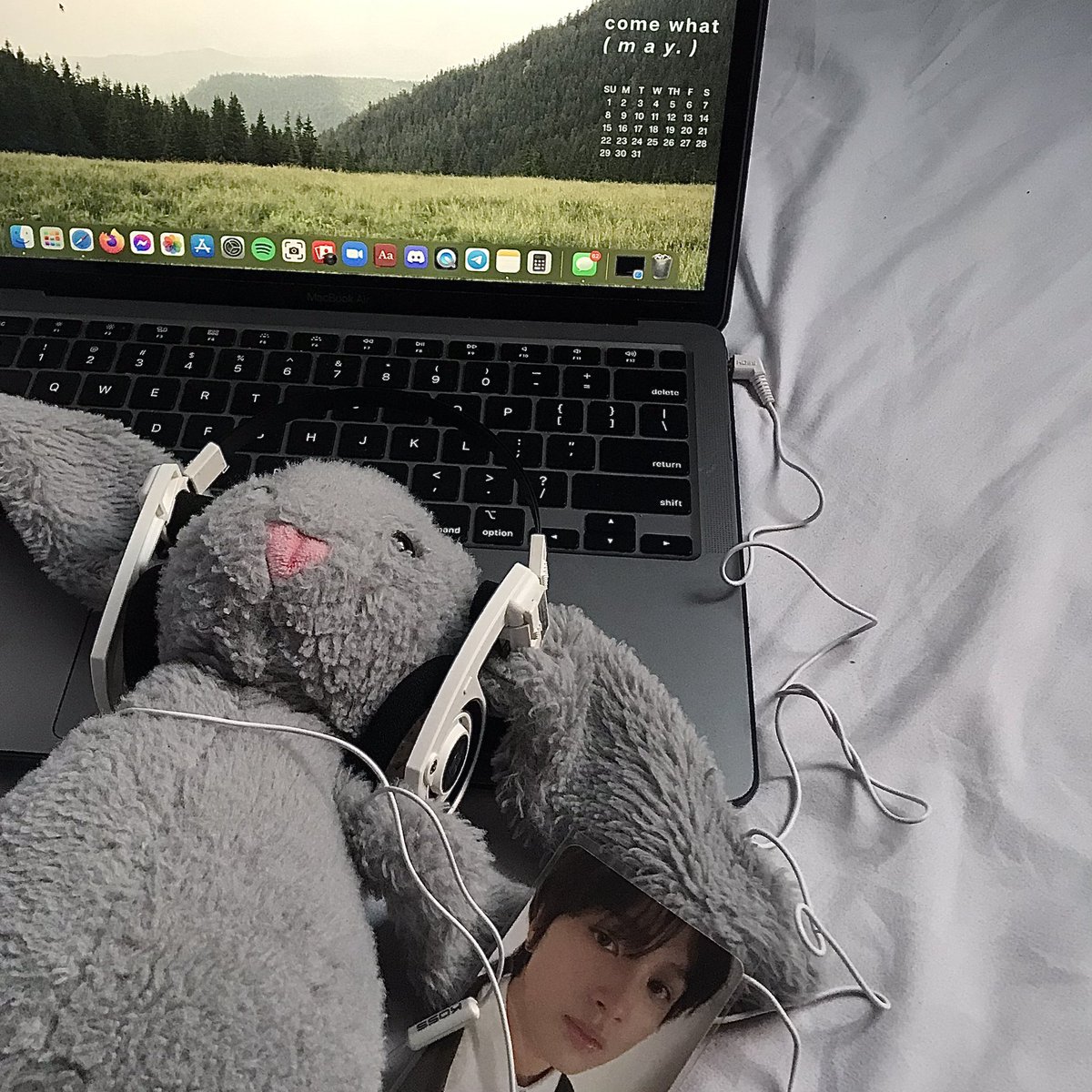februaryfile's tweet photo. ·˚ ༘ 🐇🎧⋆ˊ˗ https://t.co/TnlyfnfF9S