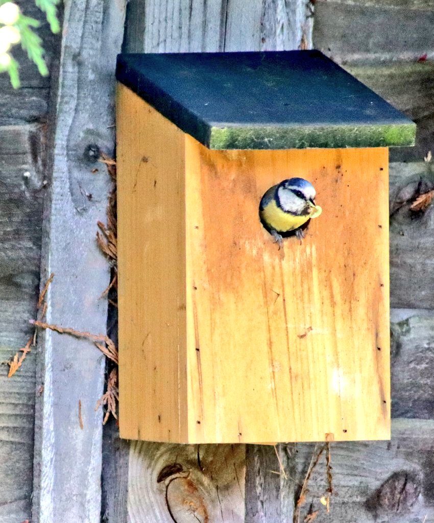 John Simper FRSA tweet media