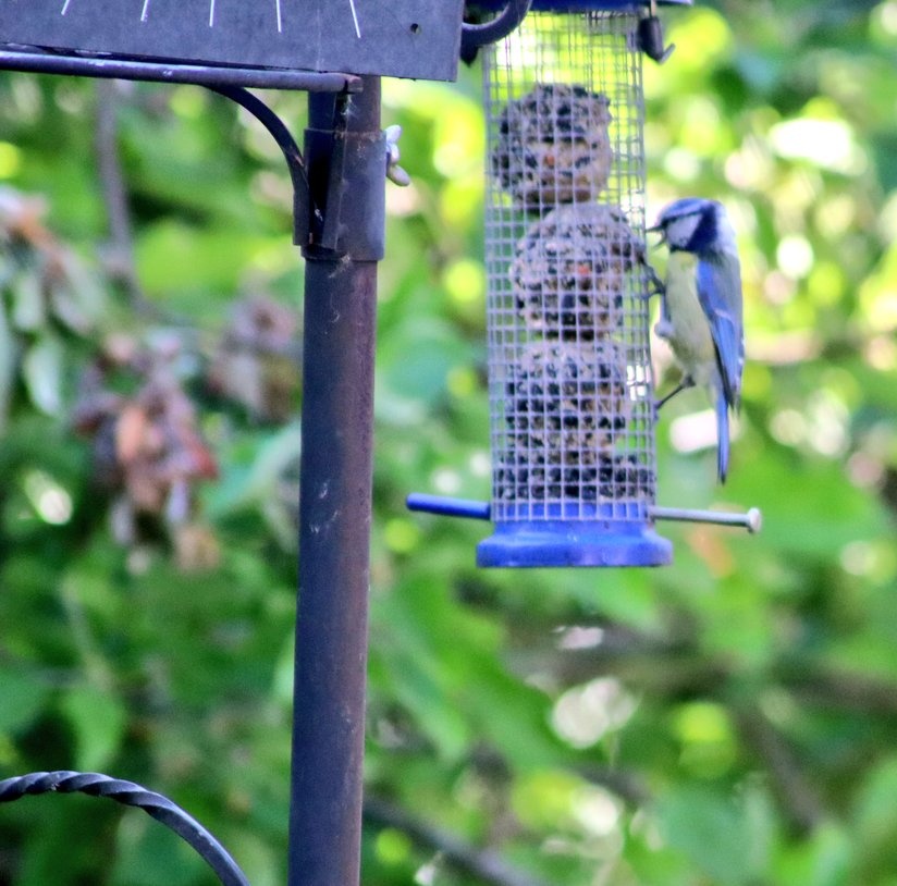 John Simper FRSA tweet media