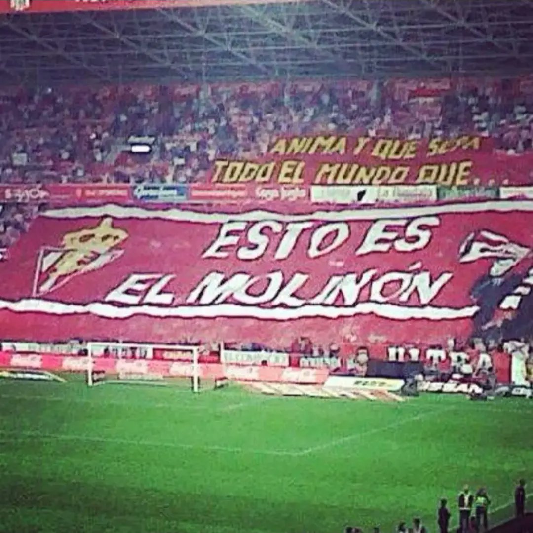 PSElPericote's tweet photo. #BatallaSinCesar #PuxaSporting https://t.co/Ia1JEFeA7P