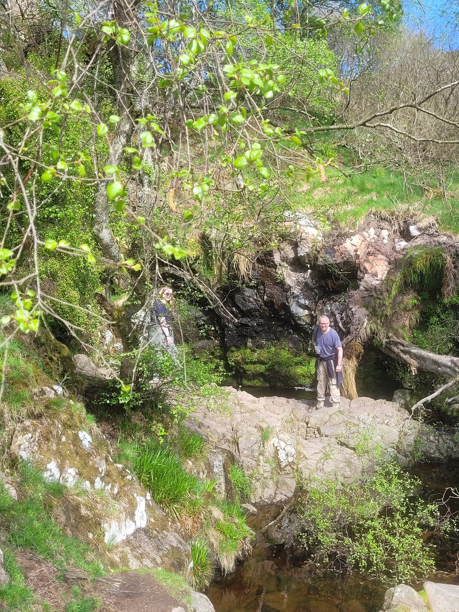 AcfAmble's tweet photo. W Coy Silver Exped at Breamish Valley with Phil the DofE bear @AcfAmble @VixsterG @nacfpro @Alnwickdetnacf @ArmyCadetsUK @ACFADofE https://t.co/ZPRYBFbLoe