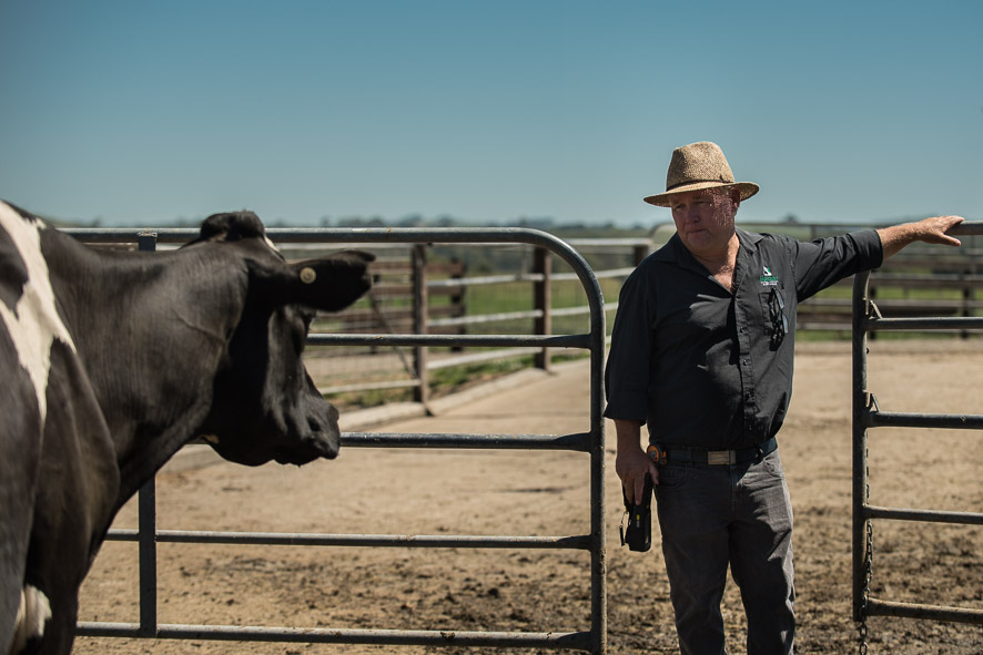 Classification scores EX &amp; VG85 and above up to 6th May now available. Sort by class date, HBN, animal name, final score, lactation, date of birth, sire and owner prefix at bit.ly/375iYxN

#Holsteins #AusDairy #HolsteinClassification